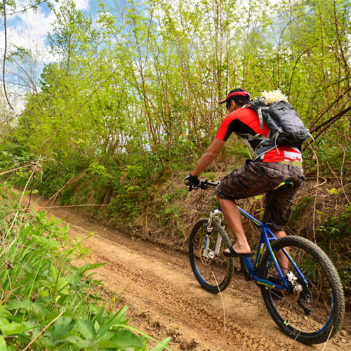 Cyclist on a bike trail