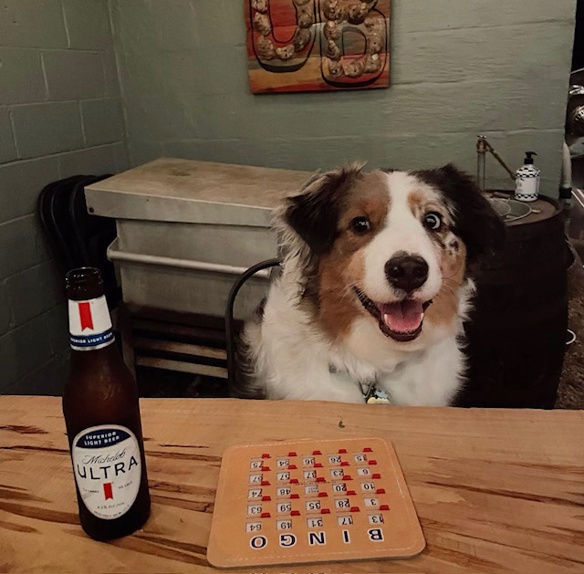 Bingo Night at The Oyster Bar