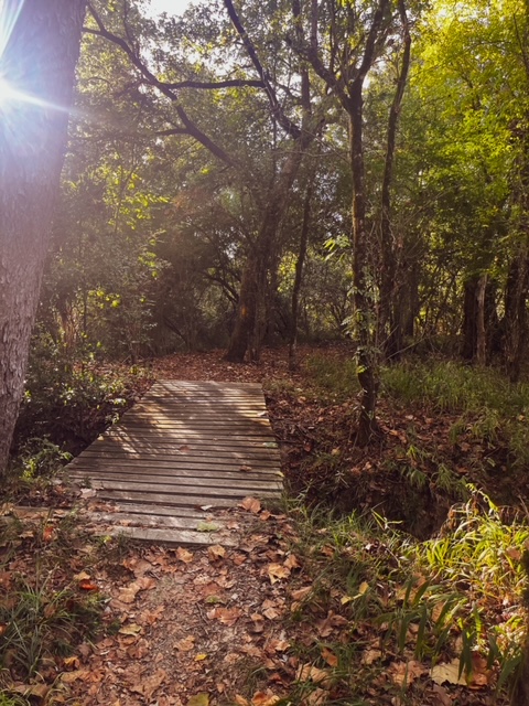 Hidden Meadow Disc Golf Tournament