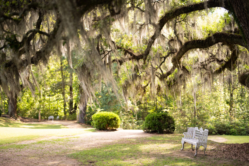 Afton Villa Gardens