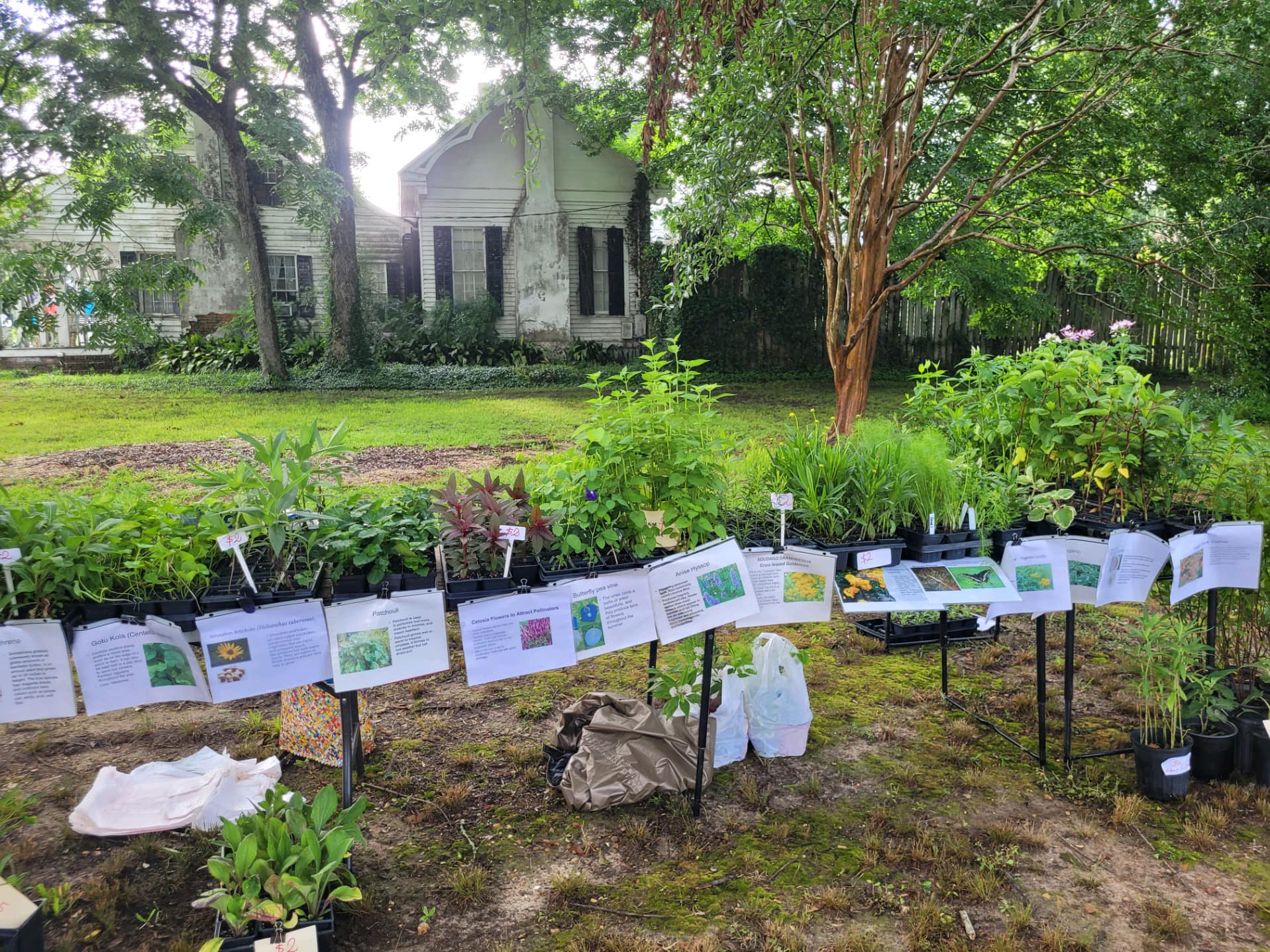 Feliciana Wildflower Festival