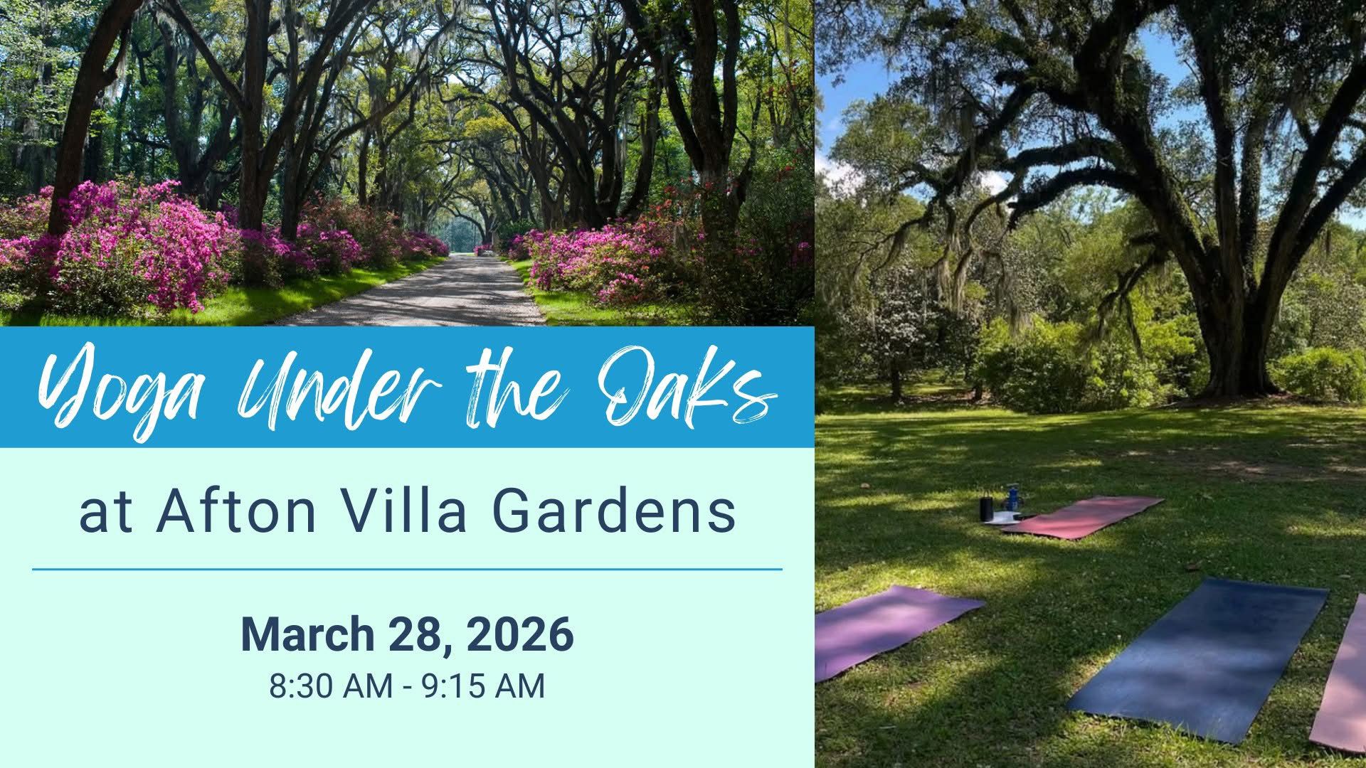 Yoga Under the Oaks