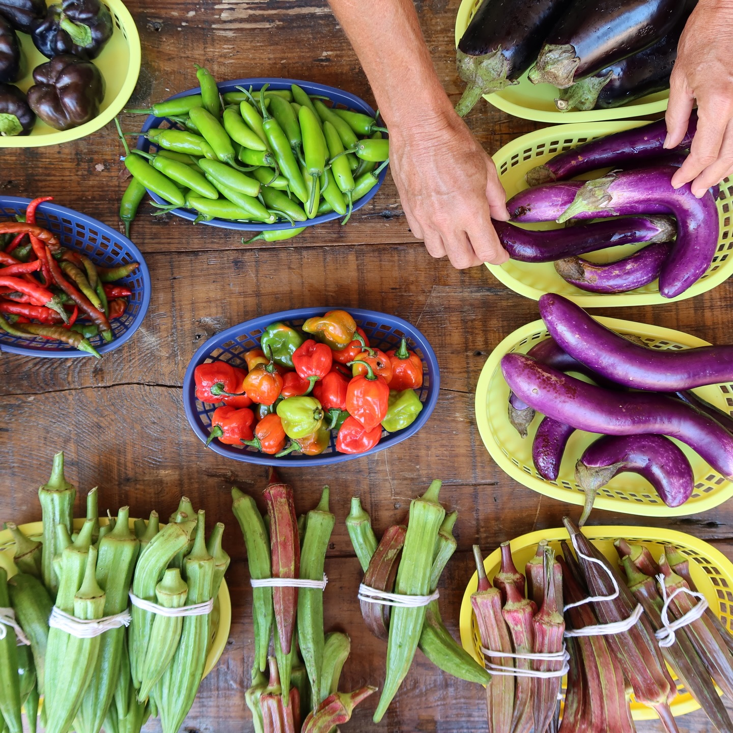 Farmers Market at The Myrtles