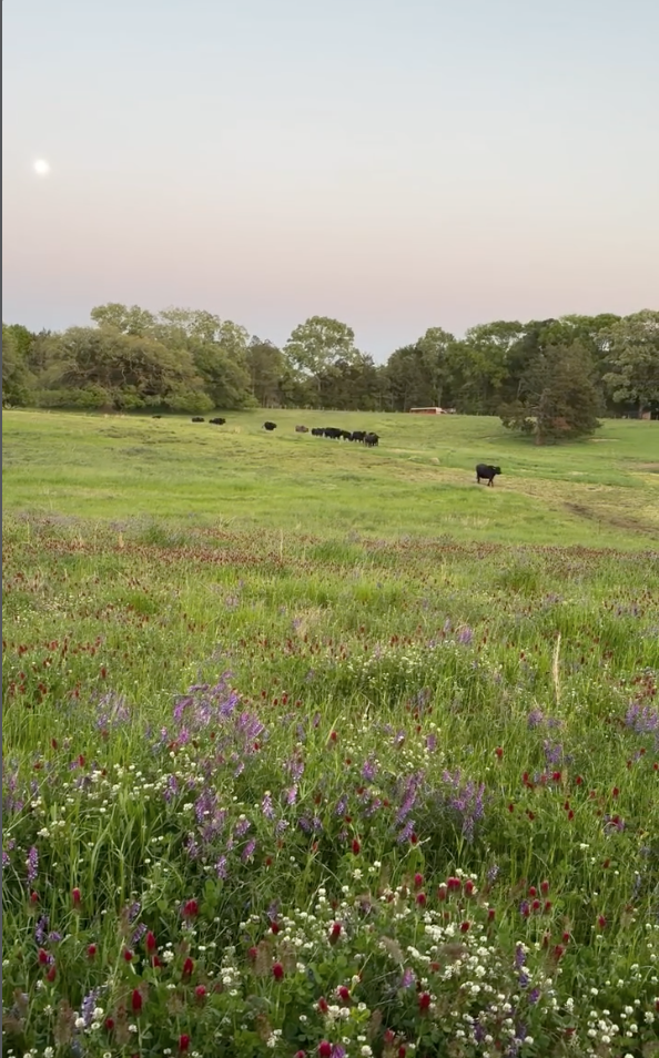 Bayou Sara Farms Collaborative Dining Experience