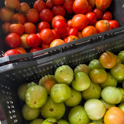 St. Francisville Farmers Market