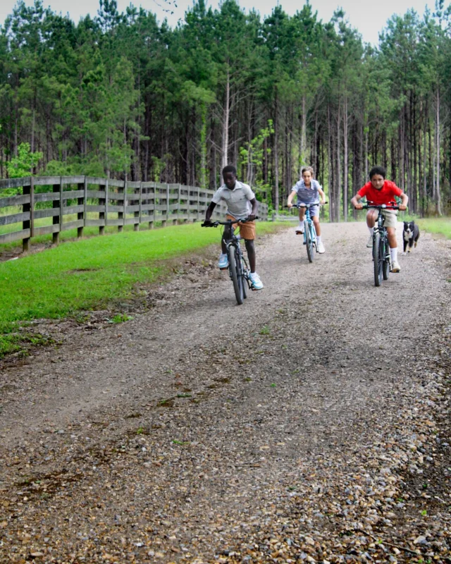 Riding into West Feliciana Parish like:

Summer is here, and St. Francisville is the perfect getaway for all ages! Plan your trip at the link 🔗 in our bio.

#StFrancisville #VisitStFrancisville #ExploreWestFeliciana #onlyLouisiana #ForTheInspiredTraveler #VisitTheVille